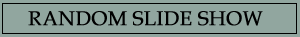 Random Slide Show